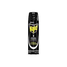 Raid Aerosol Exterm  360Ml